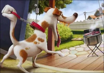 Que veut manger le chien ?