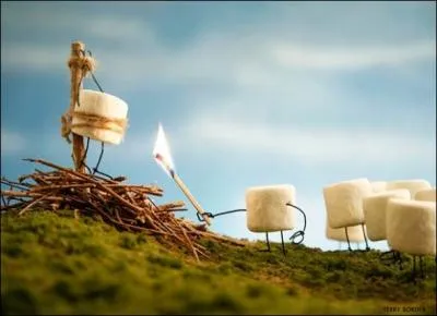 Elle fut brle vive, en 1431,  Rouen, sur ordre de l'vque Pierre Cauchon !