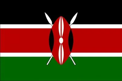 A quel pays appartient ce drapeau ?