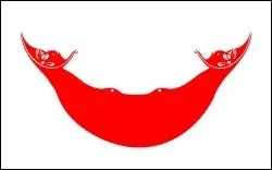 A quel pays appartient ce drapeau ?