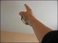 Mettre le _________ dans l'engrenage.