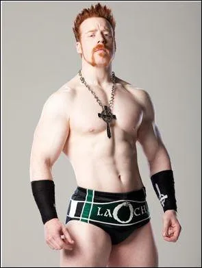 Qui est ce catcheur ?