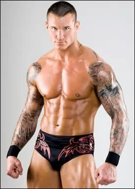 Qui est ce catcheur ?