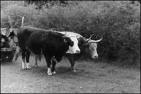 Un vent  dcorner les _________.