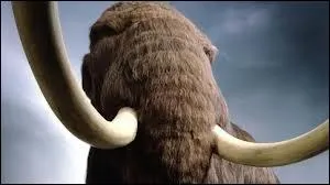 Un froid de _________.