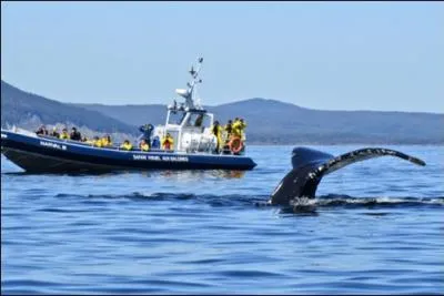 Indice n�2 : Apr�s son baccalaur�at � 16 ans, elle voyage dans un endroit o� l'explorateur  Jacques Cartier  a accost� en 1534, � baie de Gasp�. Quel est ce pays ?