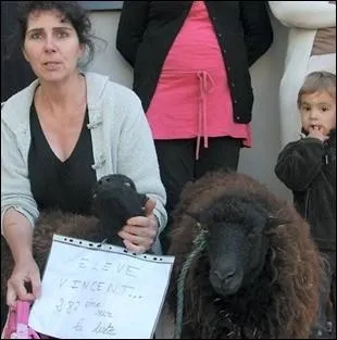 Dans quelle ville, un mouton a t inscrit  l'cole Jules-Simon afin de complter l'effectif de l'tablissement pour permettre l'ouverture d'une classe supplmentaire ?