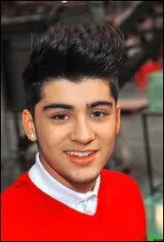 Qu'est-ce que Zayn aime dans le monde des clbrits ?
