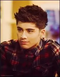 Quel problme Zayn n'accepte-t-il pas au sein du groupe ?