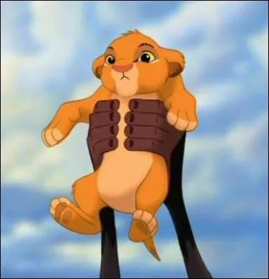 Quelle diffrence y a-t-il entre la scne de fin du Roi Lion 1 et la scne de dbut du Roi Lion 2 : L'honneur de la tribu ?