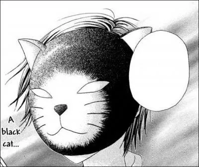 Comment s'appelle le chat noir ?