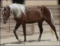 Quelle est cette robe ?