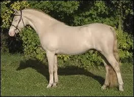 Qualifiez cette robe :