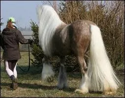 Quelle est cette robe ?