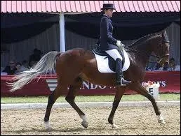 Quelle est cette robe ?