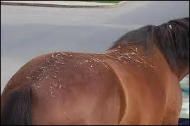 Quelle est cette robe ?