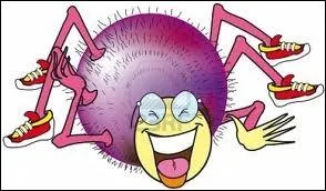 Je suis un Arthropode  quatre paires de pattes et  abdomen non segment, je fais partie de la famille des arachnides, et je suis sous-classe Aranides. Je suis un/une... .