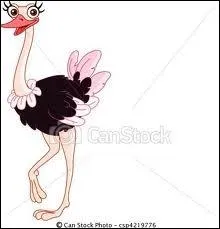 Je suis un oiseau de grande taille vivant en bandes, aux ailes impropres au vol, et je peux courir trs vite. Qui suis-je ?