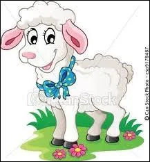 Je suis le petit de la brebis. Qui suis-je ?