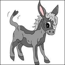 Je suis un mammifre voisin du cheval  longues oreilles et au pelage gnrant gris. Qui suis-je ?