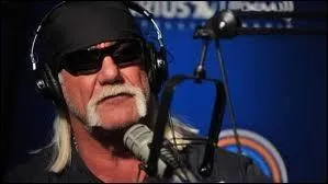 Dans lequel de ces films ne joue pas Hulk Hogan ?