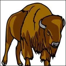 Je suis un grand bovid sauvage, caractris par mon cou bossu et mon grand collier de fourrure laineuse. Je suis un/une... .