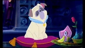 A quelle race appartient Percy, le chien de Ratcliffe dans le film  Pocahontas  ?