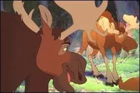 Dans le film d'animation  Frre des Ours , quels humoristes prtent leur voix aux personnages Truc et Muche dans la version franaise ?