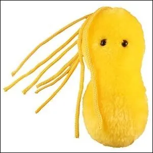 Les hypocondriaques (personnes persuades d'tre malades) sont des personnes atteintes du syndrome de Mnchhausen.