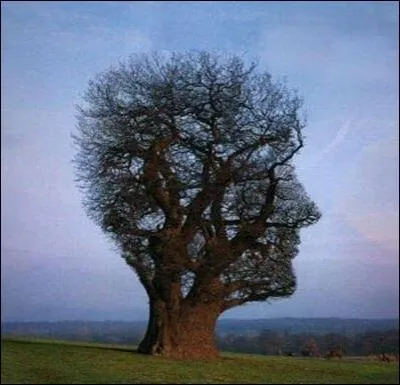 Le syndrome de Mnchhausen est aussi appel :