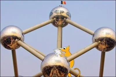 Fatigu des longs trajets, notre camlon en profite pour sa petite pause lecture. Cependant, il a mal choisi son endroit puisqu'il est sur l'Atomium de :