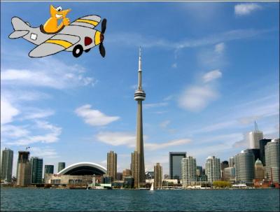A bord de son petit avion, la bestiole orange contemple le magnifique paysage de Toronto. Cependant, ce n'est peut-être pas la capitale du pays. A votre avis, quelle est-elle ?