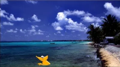 Le camlon ne s'en fait pas, voil maintenant qu'il fait trempette au bord du rivage de Funafuti qui est la capitale d'un archipel du Pacifique. Savez-vous lequel ?