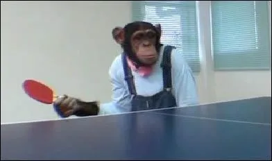 Si vous prfrez le tennis de table, je vous propose un adversaire de qualit !