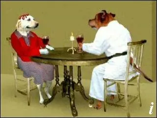 Un petit remontant, aprs une sance de ce sport, a ne fait pas de mal, surtout si on vient de se prendre un ippon !