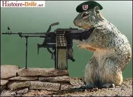 Un film avec Arnold Schwarzenegger.