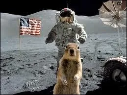  Houston, nous avons un problme  est une phrase culte de ce film.