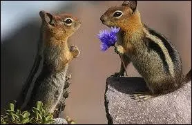 Film avec Leonardo DiCaprio.