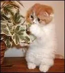 Trouvez le titre et le personnage de ce film.