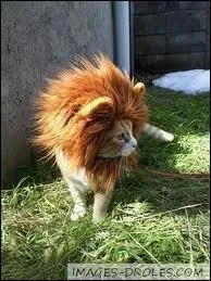 Trouvez le titre de ce film.