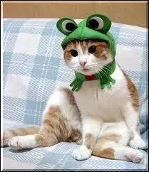 Trouvez le titre et le personnage de ce film.