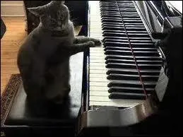 Trouvez le titre de ce film avec Isabelle Huppert et Benot Magimel.