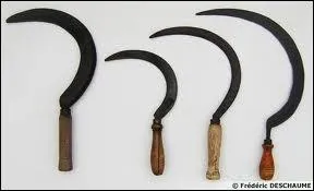 Laquelle des deux prend sa faucille ?