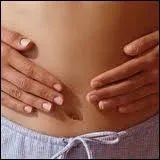 Dans quel appareil du corps humain la digestion commence-t-elle ?