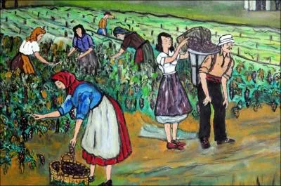 De la vigne au (... ) les transporte  pas lents ;