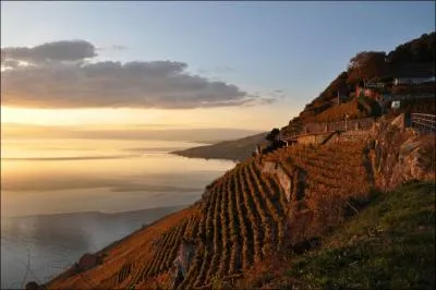 Mais je vois sur les monts (... ) l'astre du jour ;