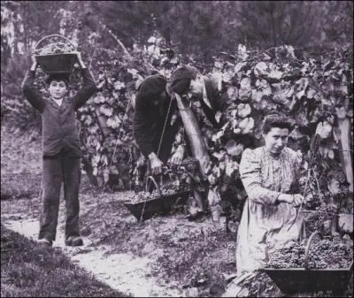 Forme verbale : Il s'y (... ) en ordre, et le travail commence ;