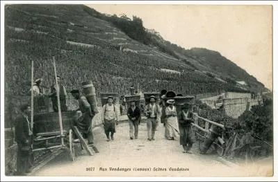 Orthographe : le (... ) que conduit l'espoir d'un vin nouveau,