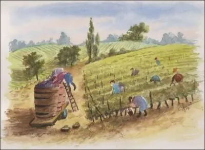 Conjugaison : Une troupe à ces chants (... ) des monts voisins ;