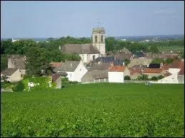 Partons maintenant  Pommard o les habitants se nomment les ...